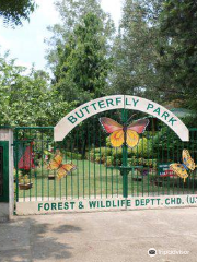 Butterfly Park