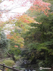 Mikado Gorge