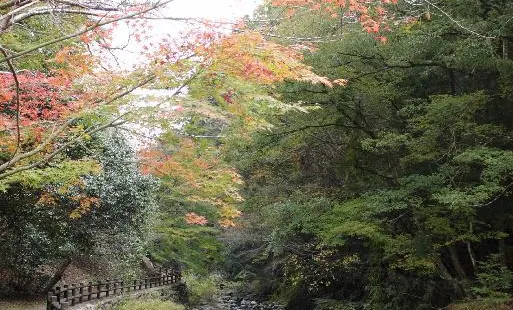 Mikado Gorge