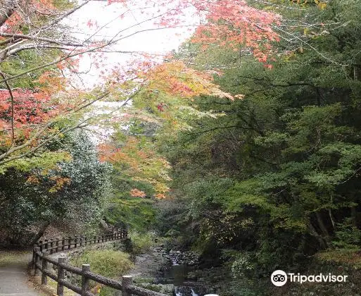 Mikado Gorge