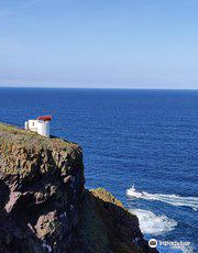 St Abb's Head National Nature Reserve