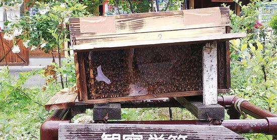 Mitsubachi Nouen (Yamada Honeybee Farm)