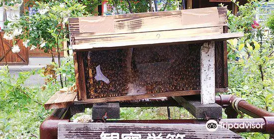 山田みつばち農園