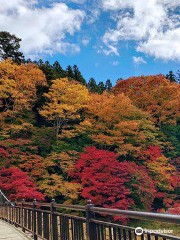 紅の吊橋