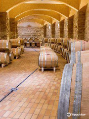 Cantine Le Grotte - Degustazione, vendita e produzione vini