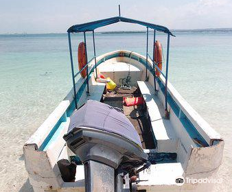 Dar es Salaam Marine Reserve System