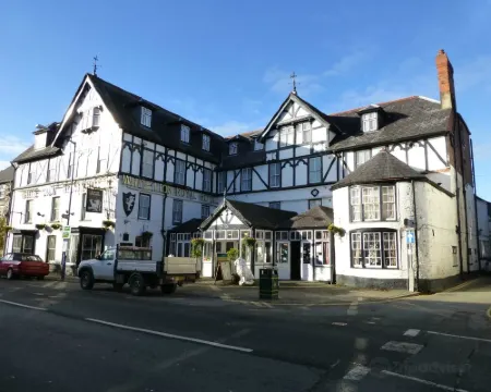 White Lion Royal Hotel Hotels in Bala