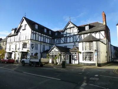 White Lion Royal Hotel Hotels in Llandderfel
