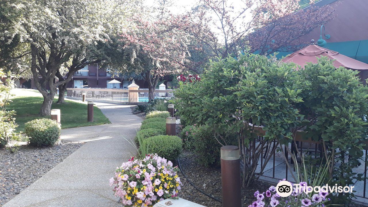 Quality Inn Sunridge Inn & Conference Center