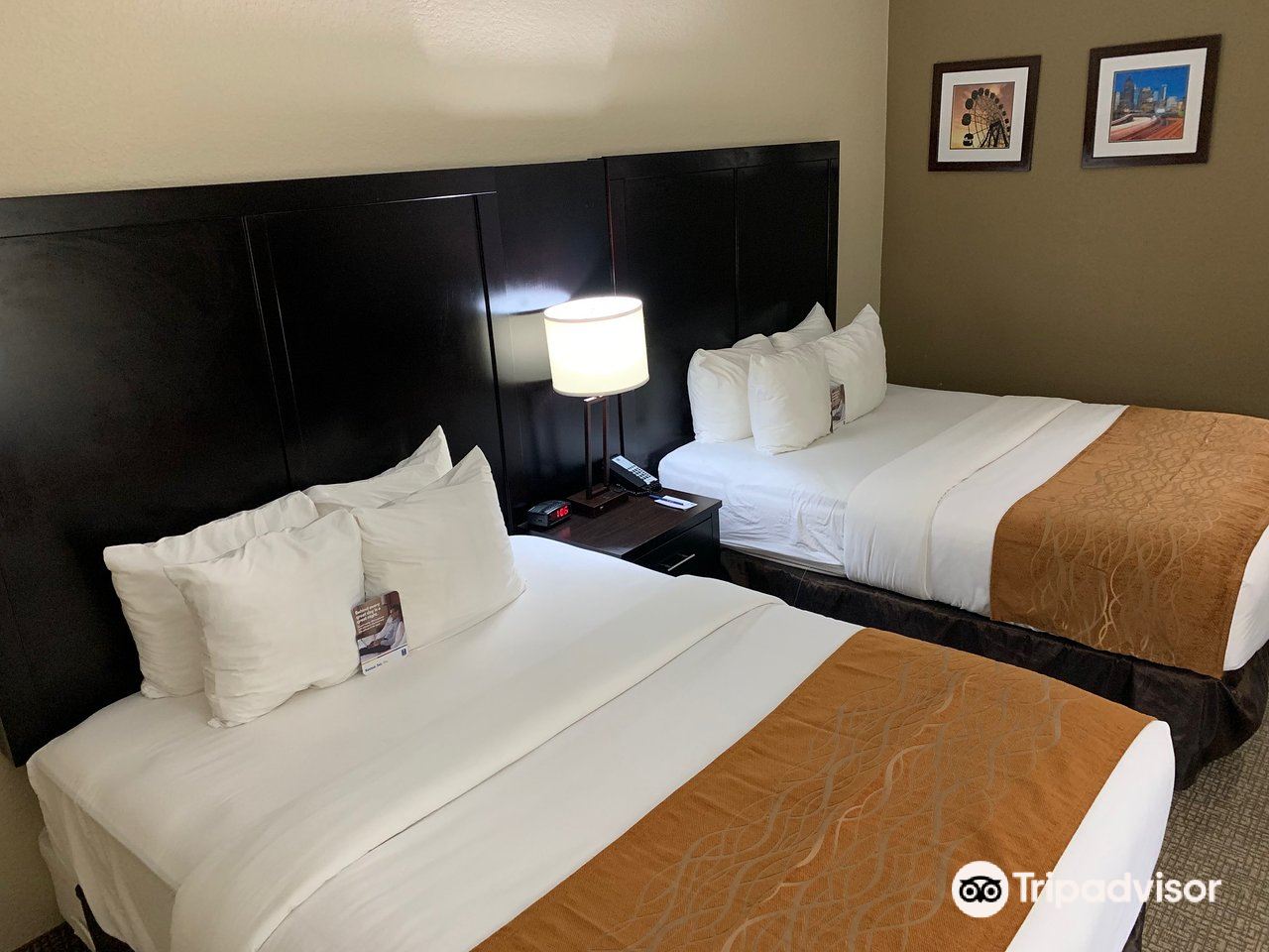 Comfort Inn & Suites Galleria