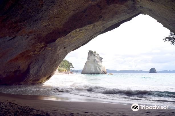 Cooks Beach