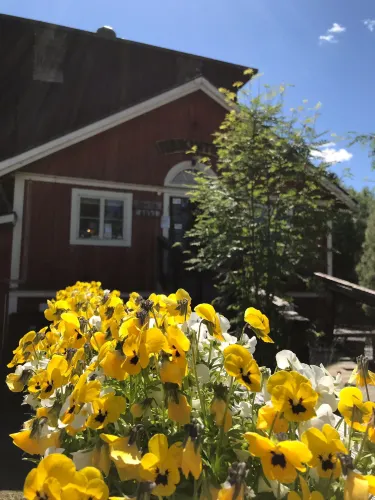 Sonkajarvi