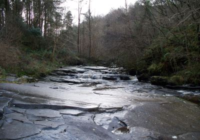 Slieve Bloom Mountains