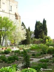 Orto Botanico dell'Università di Perugia