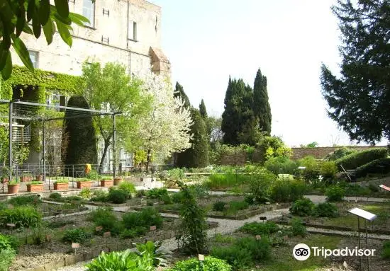 Orto Botanico dell'Universita di Perugia