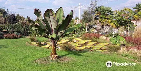 Jardín Botánico de Villa Bricherasio