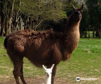 Clonfert Pet Farm