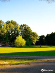 Three Lakes Park & Nature Center