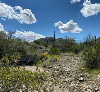 Estrella Mountain Regional Park