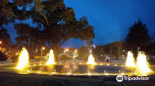 Fuente del Bicentenario