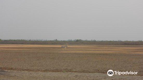 Little Rann of Kutch