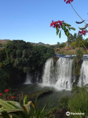 Lily Waterfall