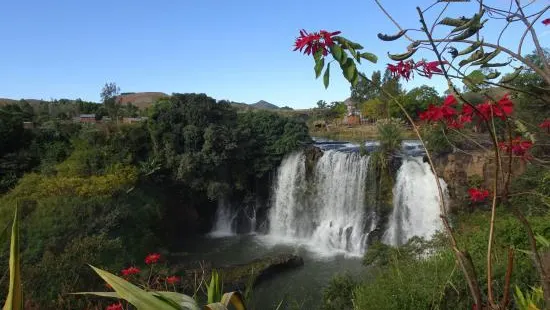 Lily Waterfall