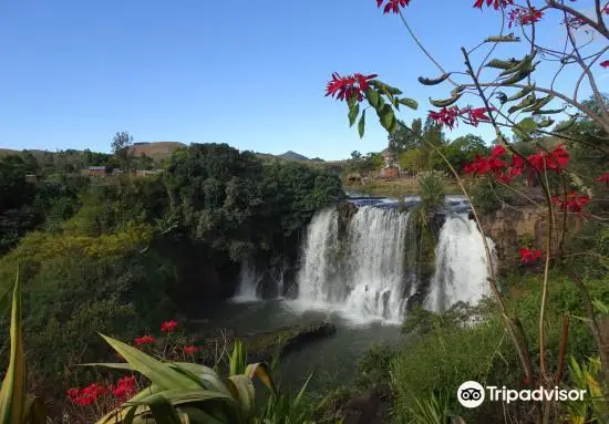 Lily Waterfall