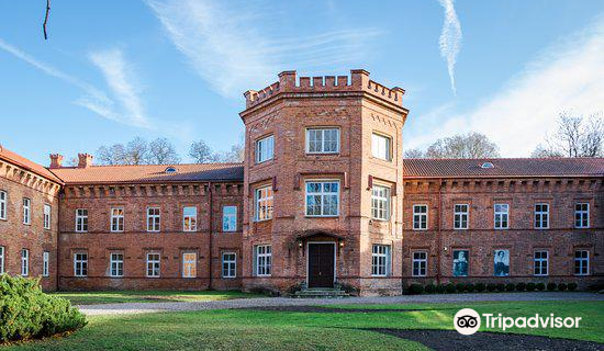 Raudonė Castle