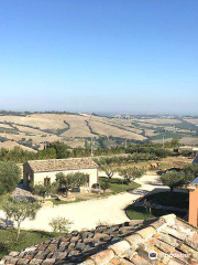 Azienda Agricola Lorese