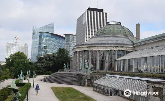 Jardin botanique de Bruxelles