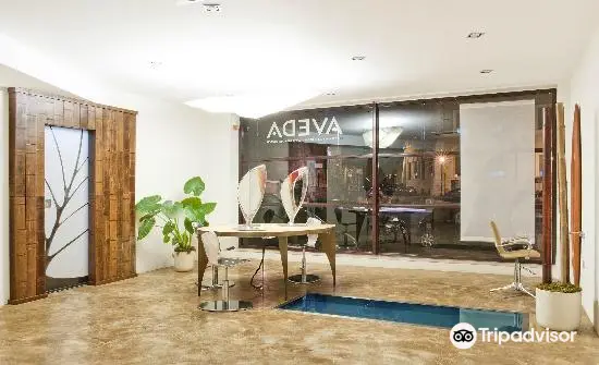 Aveda Hair & Beauty