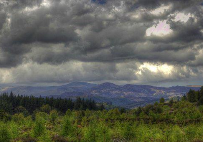 Gwydir Forest Park