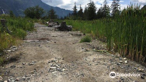 Squamish Estuary