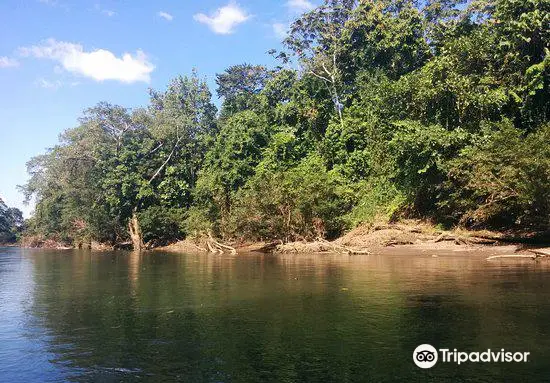 Sarapiqui River