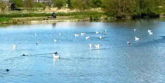 Le Parc Naturel du Marais