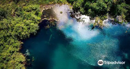 胡安卡斯特羅布蘭科國家公園