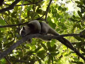 SIBU Wildlife Sanctuary