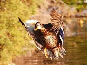 William L. Finley National Wildlife Refuge