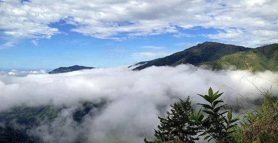 El Silencio de Los Angeles Cloud Forest Reserve