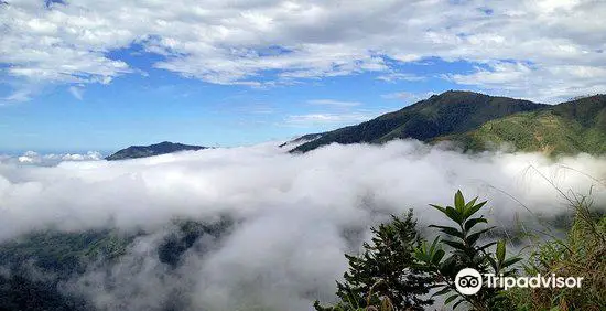 El Silencio de Los Angeles Cloud Forest Reserve