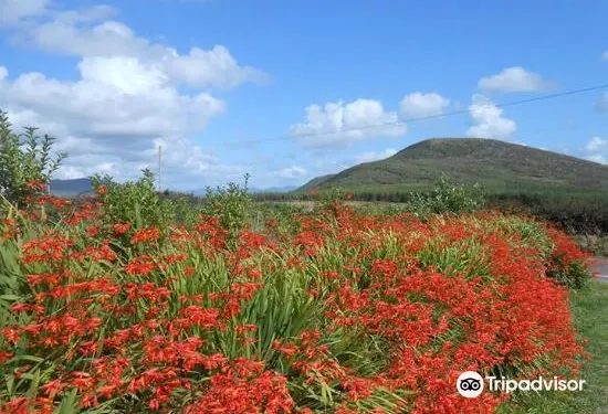 巴靈斯克里格斯