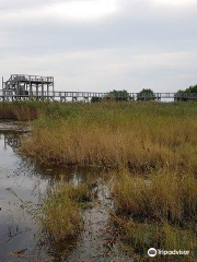 Parnu Coastal Meadow Protection Area