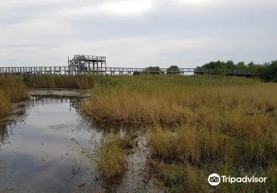 Parnu Coastal Meadow Protection Area