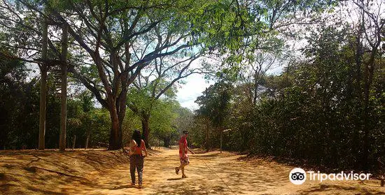 Parque Estadual do Rio Doce