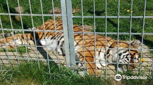 Erlebnis- und Tigerpark Dassow