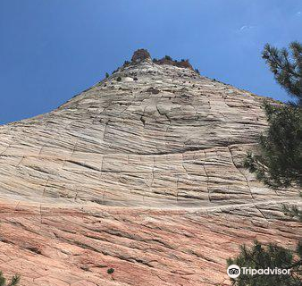 Zion NP South Campground