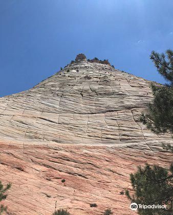 Zion NP South Campground