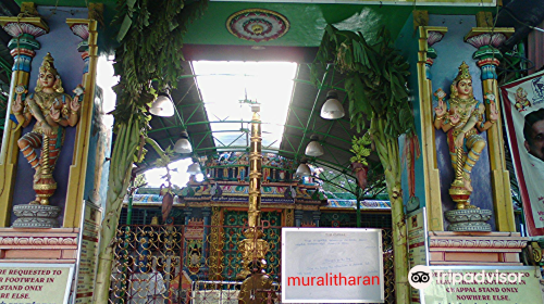 Sri Anantha Padmanabha Swamy Temple