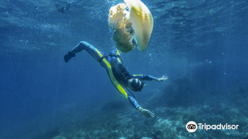 Deep People Freediving School